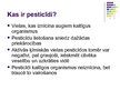 Presentations 'Pesticīdi', 2.