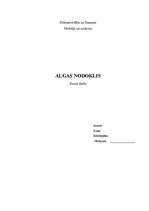 Research Papers 'Algas nodoklis', 1.