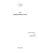 Research Papers 'Kokeina sindroms', 1.