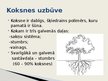 Presentations 'Koksne kā konstruktīvs materiāls', 2.