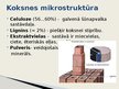 Presentations 'Koksne kā konstruktīvs materiāls', 4.