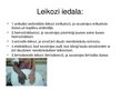 Presentations 'Leikoze', 6.