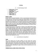 Research Papers 'Biznesa kultūra Itālijā', 4.
