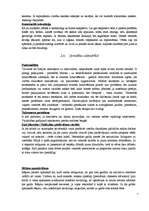 Research Papers 'Biznesa kultūra Itālijā', 7.