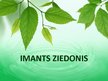 Presentations 'Imants Ziedonis', 1.