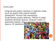 Presentations 'Origami saistība ar matemātiku un citām dzīves jomām', 2.