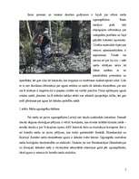 Research Papers 'Uguns mežā', 5.