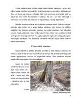 Research Papers 'Uguns mežā', 6.