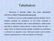 Presentations 'Tuberkuloze', 2.