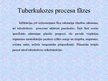 Presentations 'Tuberkuloze', 11.