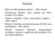 Presentations 'Invalīdu sociālās aizsardzības finansējums Latvijā un pasaulē', 15.