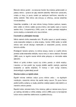 Essays 'Krāsas, vārdi un skaņas: mākslas loma cilvēka un sabiedrības dzīvē', 2.