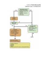 Research Papers 'Neatliekamā palīdzība akūta koronāra sindroma gadījumā pirms slimnīcas etapā', 43.