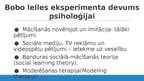 Presentations 'Kognitīvā psiholoģija: no biheiviorisma līdz sociālajai izziņai', 17.
