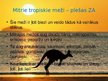 Presentations 'Austrālijas daba', 6.