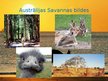 Presentations 'Austrālijas daba', 10.