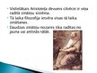Presentations 'Aristotelis un Platons', 12.