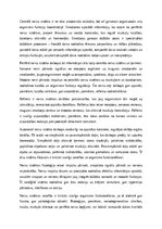 Essays 'Cilvēka nervu sistēmas uzbūve un funkcijas: anatomijas un fizioloģijas analīze', 2.