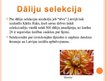 Presentations 'Dāliju selekcija Latvijā', 4.
