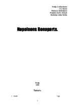 Research Papers 'Napoleons Bonaparts', 1.