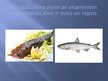 Presentations 'Zivis un to lietošana uzturā', 2.