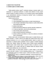 Term Papers 'Juridisko personu maksātnespējas procesa iespējamie risinājumi', 25.