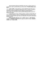 Summaries, Notes 'Cīrulis', 4.