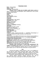 Summaries, Notes 'Cīrulis', 5.