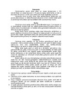 Summaries, Notes 'Cīrulis', 6.