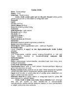 Summaries, Notes 'Cīrulis', 7.