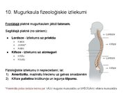 Presentations 'Konspekts ieskaitei treneriem anatomijā', 13.