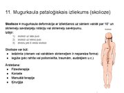 Presentations 'Konspekts ieskaitei treneriem anatomijā', 14.