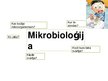 Presentations 'Mikrobioloģija', 2.