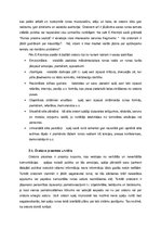 Essays 'Oratora prasmes un publiskā runa', 5.