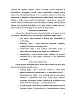 Research Papers 'Iekšlietu ministrijas un policijas iekārta (1918. – 1940.)', 21.