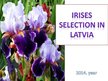 Presentations 'Irises Selection in Latvia', 1.