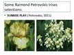 Presentations 'Irises Selection in Latvia', 7.