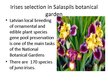 Presentations 'Irises Selection in Latvia', 14.
