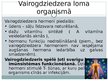Presentations 'Vairogdziedzera patoloģiskā fizioloģija, hipotireoze', 4.