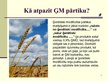 Presentations 'Ģenētiski modificēta pārtika', 7.