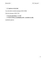 Business Plans 'Suņu viesnīca “Ķepu zeme”', 6.