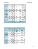 Business Plans 'Suņu viesnīca “Ķepu zeme”', 11.