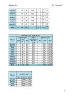 Business Plans 'Suņu viesnīca “Ķepu zeme”', 12.