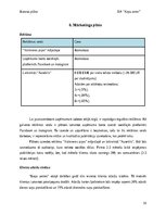 Business Plans 'Suņu viesnīca “Ķepu zeme”', 15.