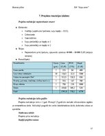 Business Plans 'Suņu viesnīca “Ķepu zeme”', 17.