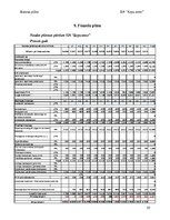 Business Plans 'Suņu viesnīca “Ķepu zeme”', 20.