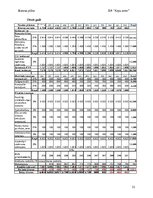 Business Plans 'Suņu viesnīca “Ķepu zeme”', 21.