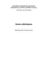 Research Papers 'Banku salīdzinājums', 1.