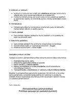 Samples 'Grāmatvedības politikas plāns pilnsabiedrībai', 2.