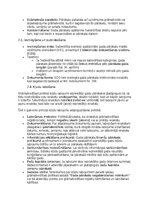 Samples 'Grāmatvedības politikas plāns pilnsabiedrībai', 17.